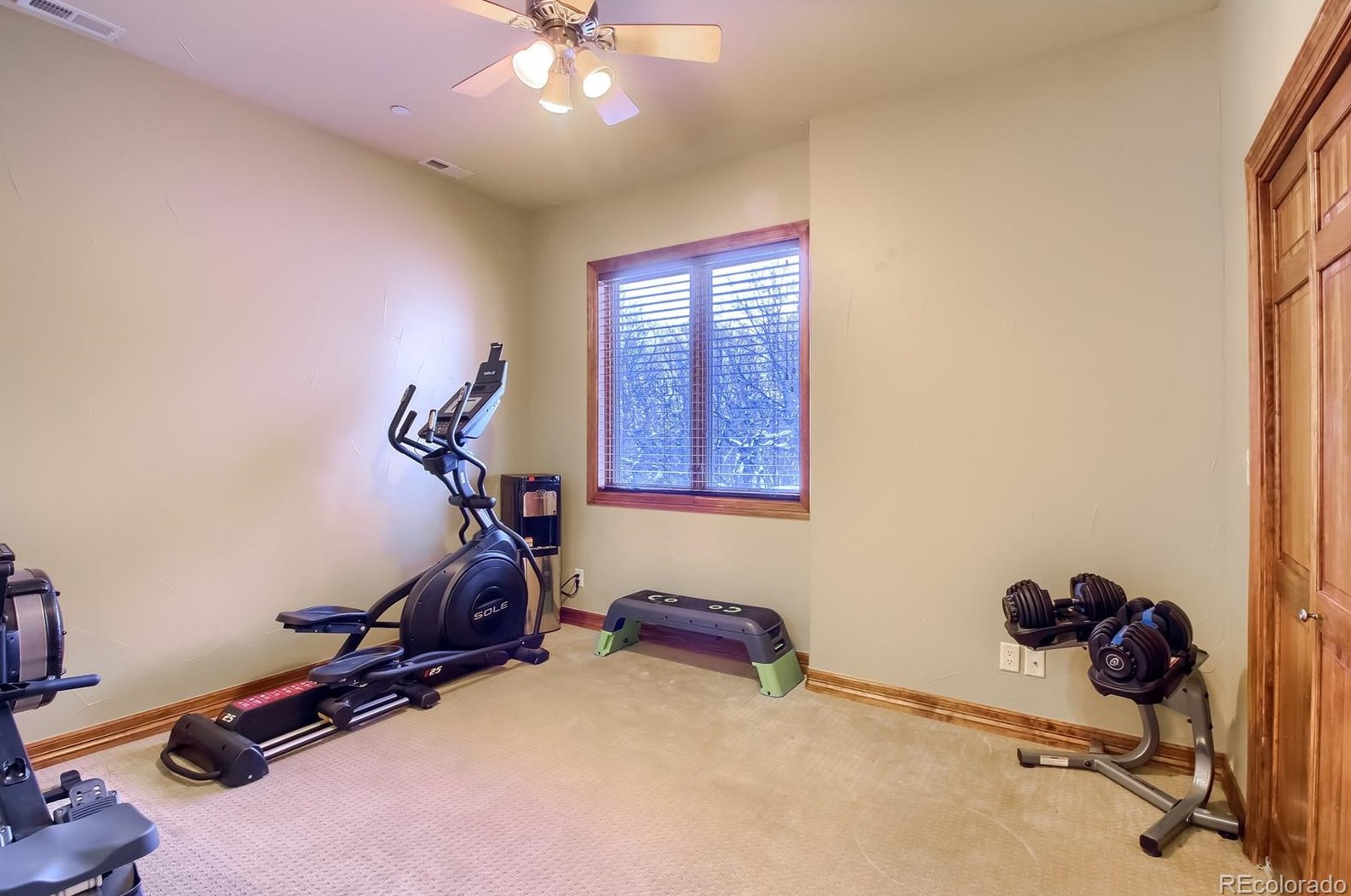 6875 Twisted Oak Dr, Castle Rock CO 80108-8162 exterior