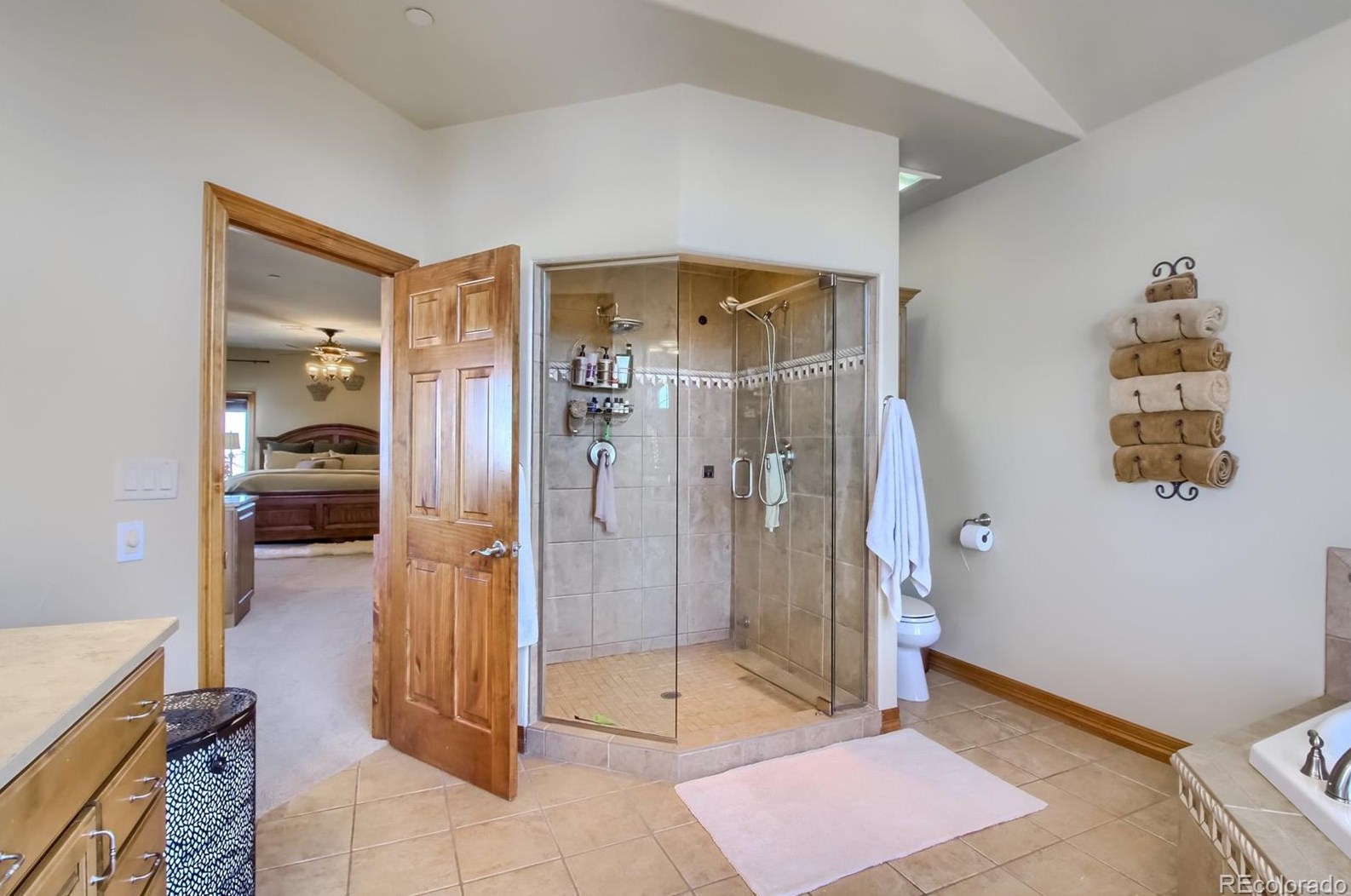 6875 Twisted Oak Dr, Castle Rock CO 80108-8162 exterior