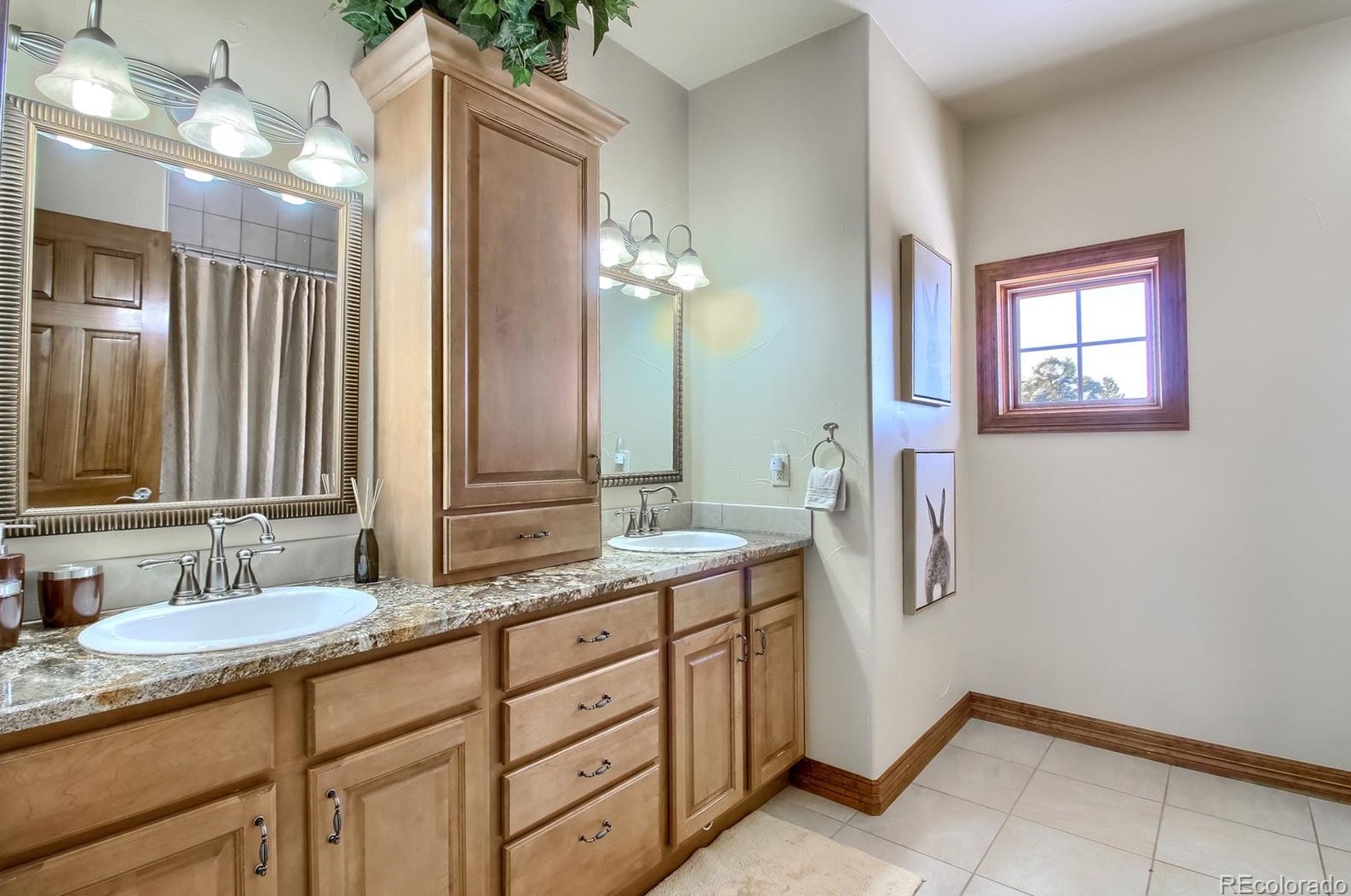 6875 Twisted Oak Dr, Castle Rock CO 80108-8162 exterior