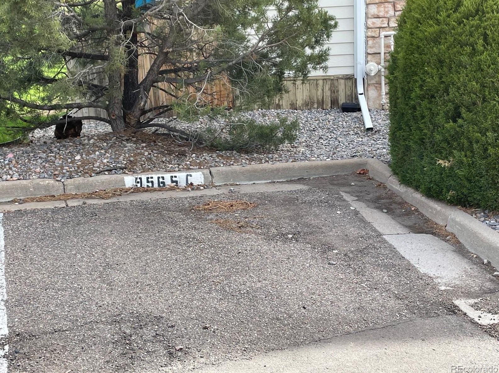 9565 Coal Mine Ave, Littleton CO 80123-4013 exterior