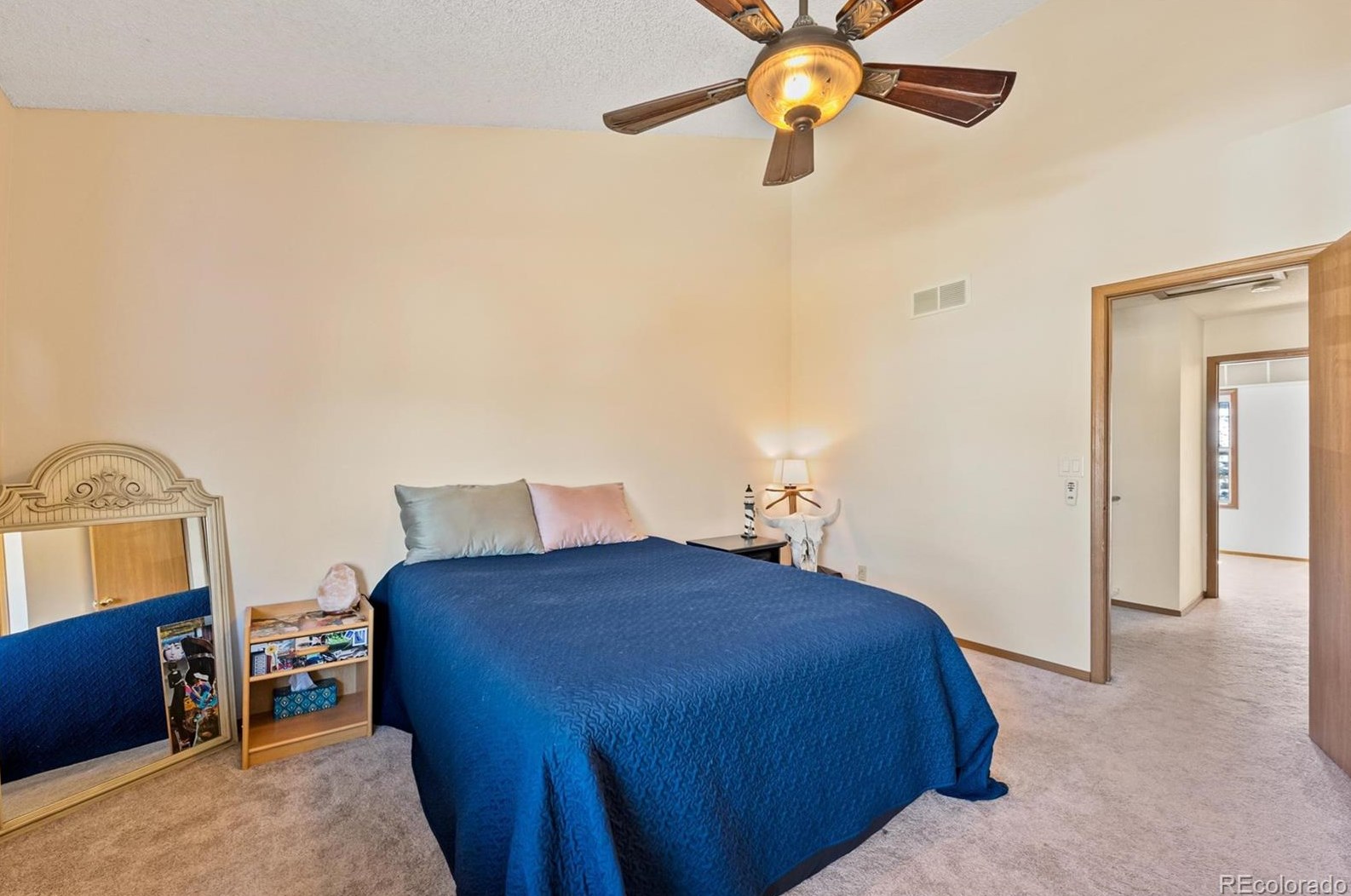 10160 Telluride St, Littleton CO  80125-8939 exterior