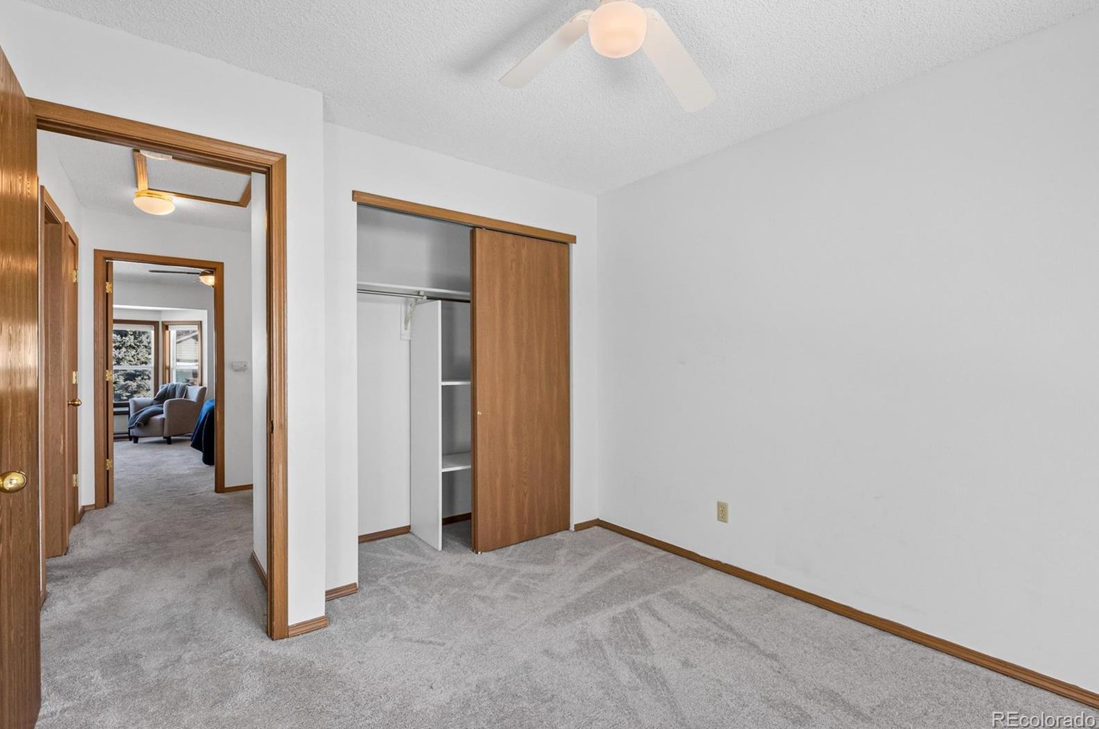 10160 Telluride St, Littleton CO  80125-8939 exterior