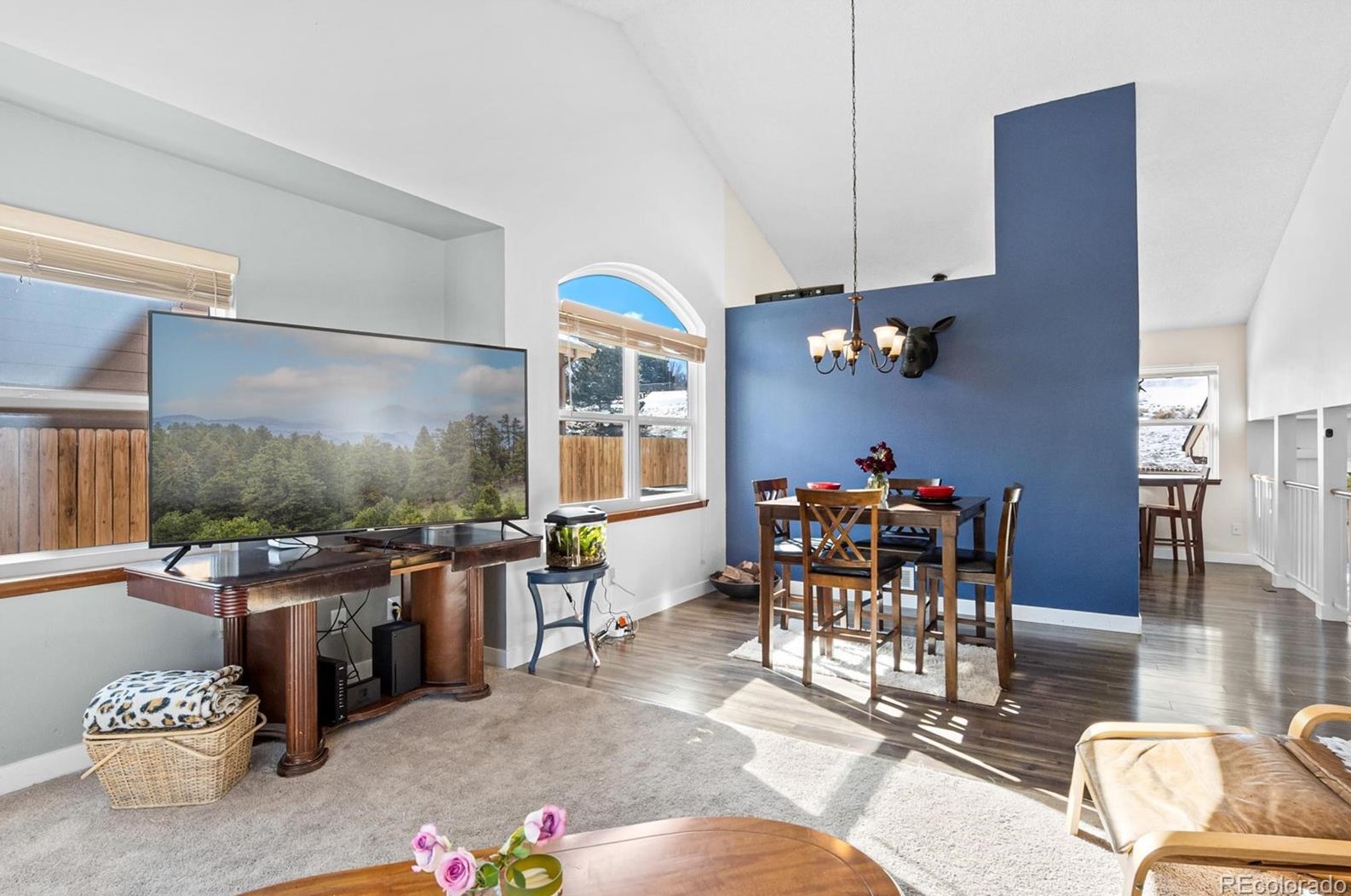 10160 Telluride St, Littleton CO  80125-8939 exterior