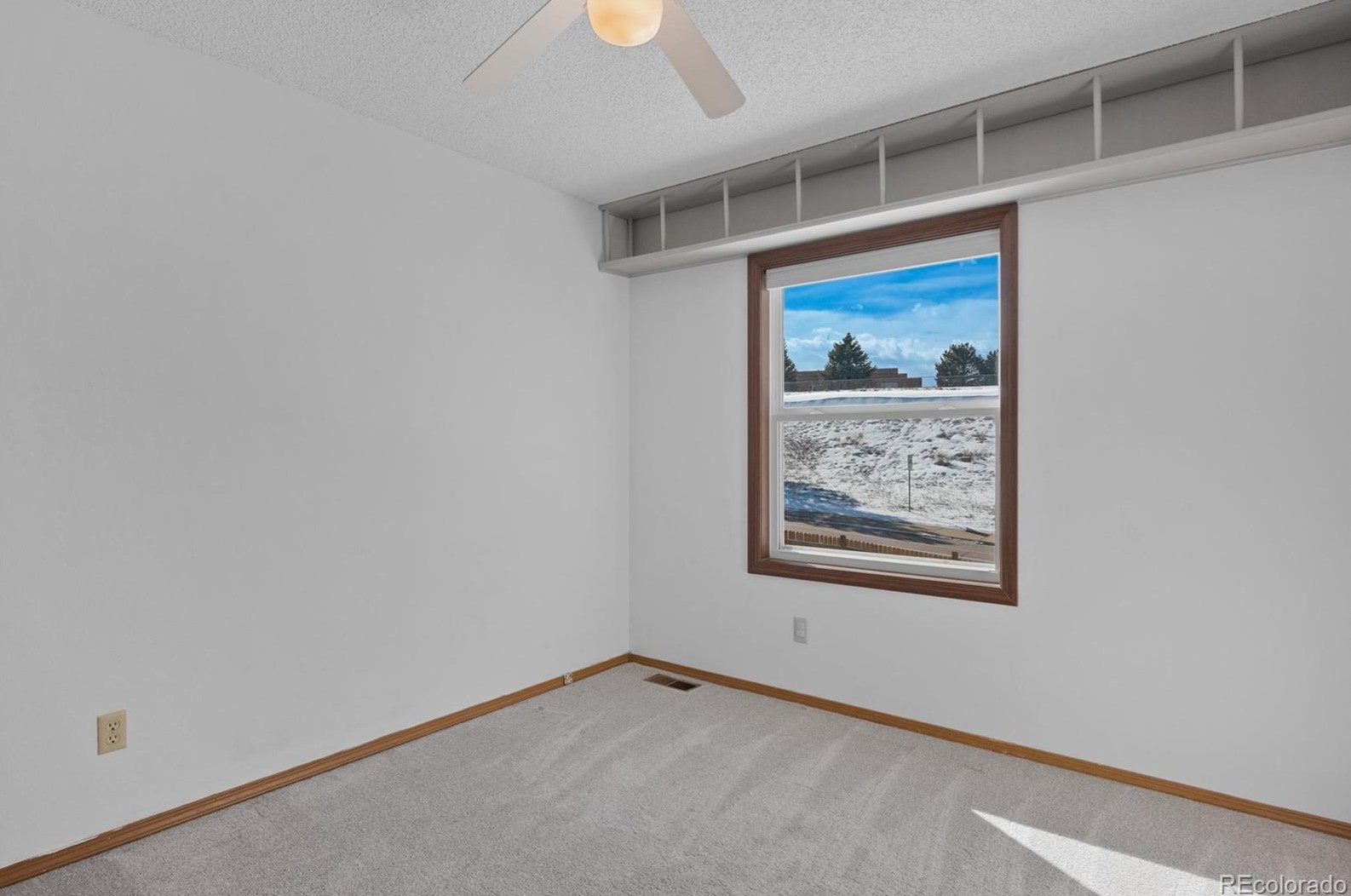 10160 Telluride St, Littleton CO  80125-8939 exterior