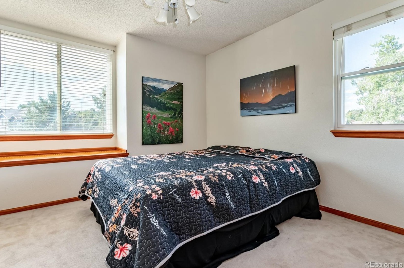 6898 Taft Ct, Arvada CO  80004-2575 exterior