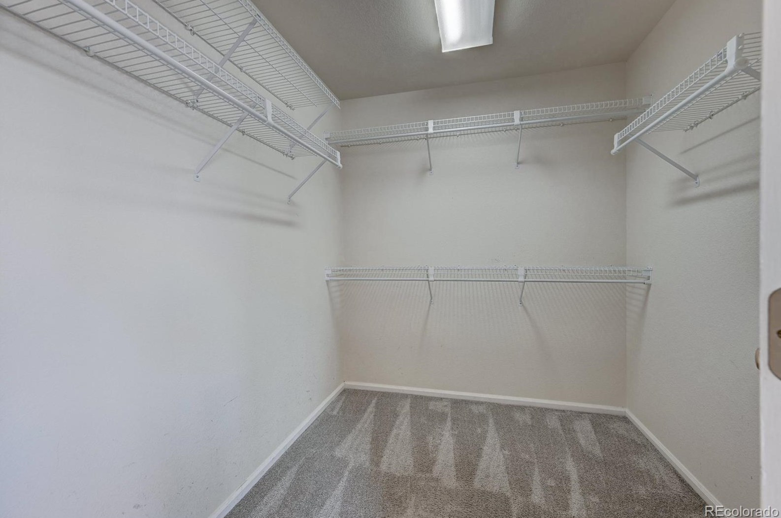 435 Rose Finch Cir, Littleton CO  80129-5667 exterior