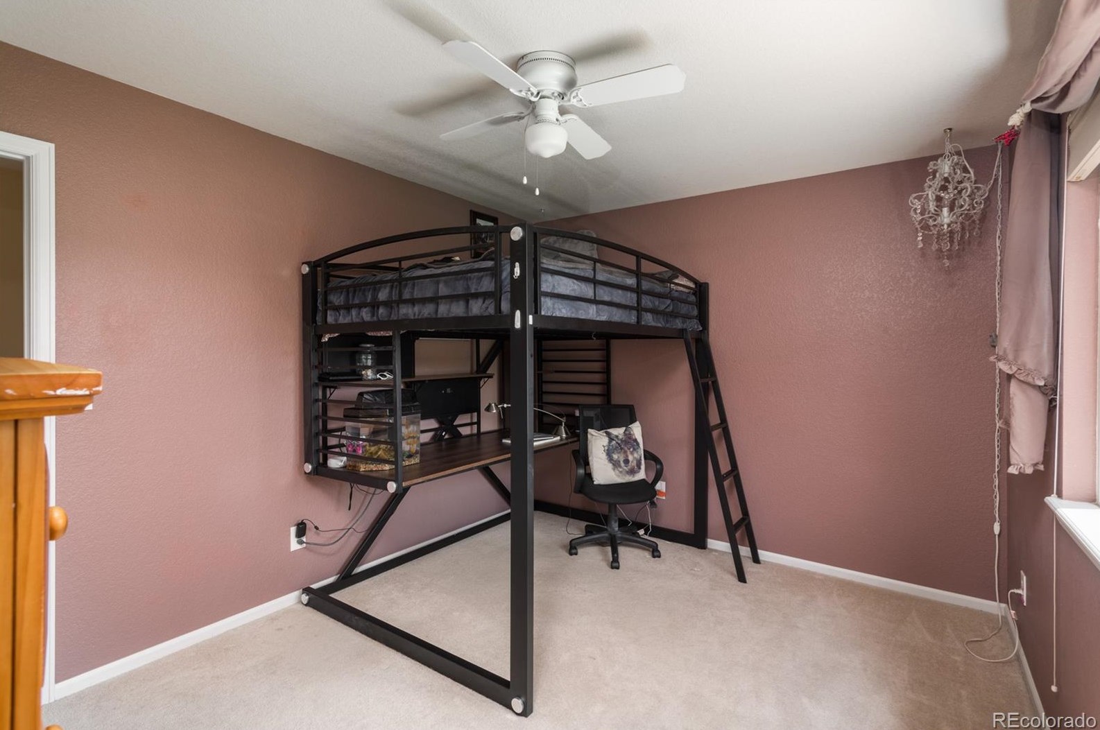 7990 Canvasback Ct, Littleton CO 80125-8997 exterior