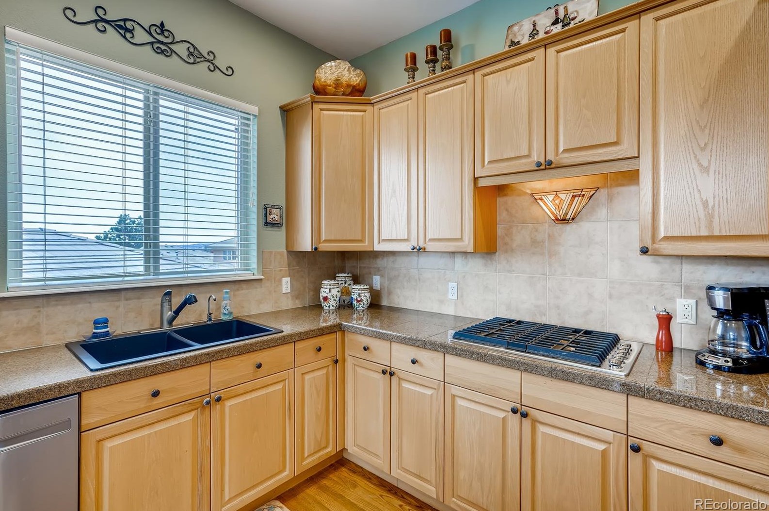 6816 Raspberry Run, Littleton CO 80125-8306 exterior