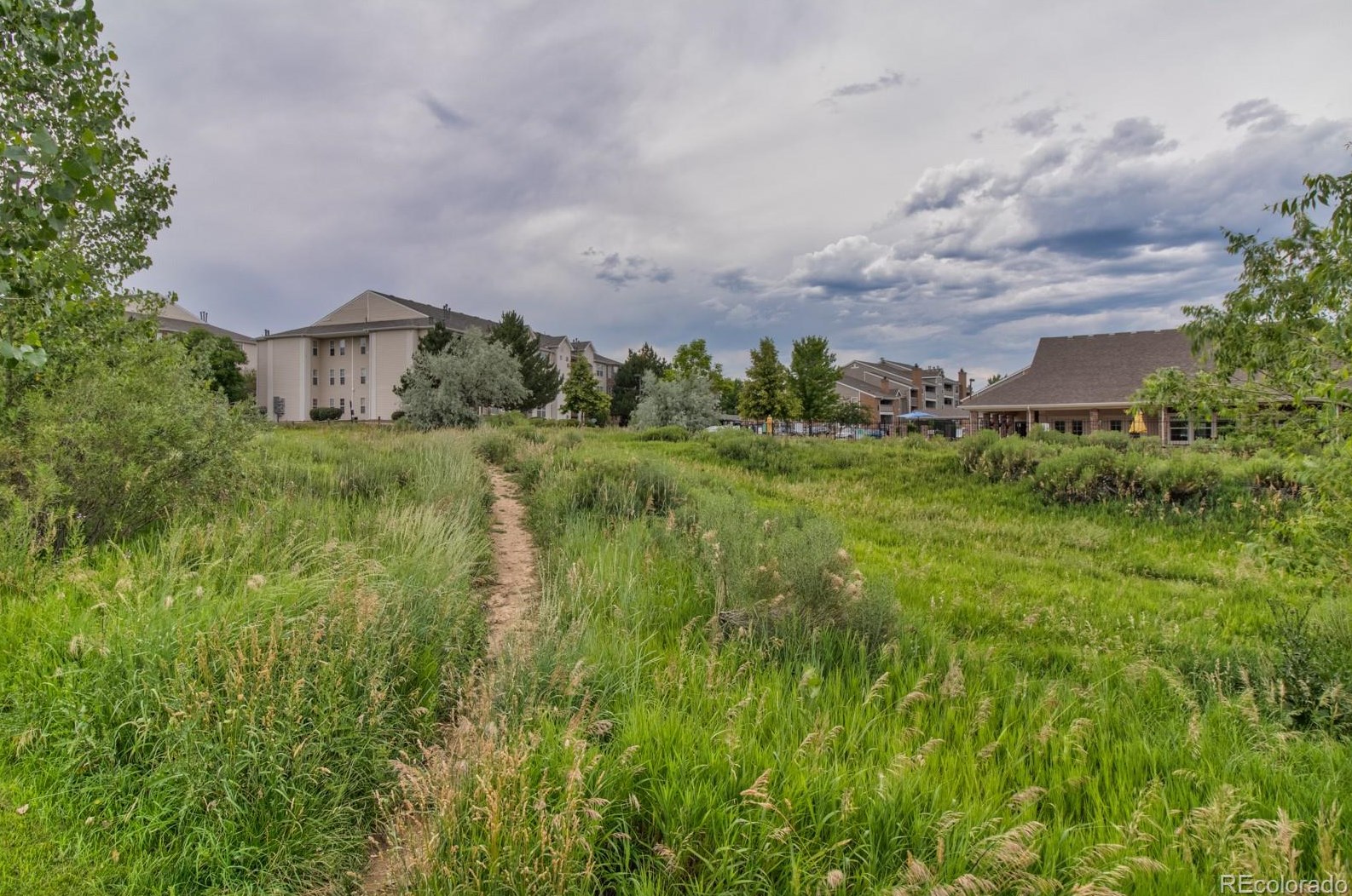 12043 Cross Dr, Littleton CO  80127-5248 exterior