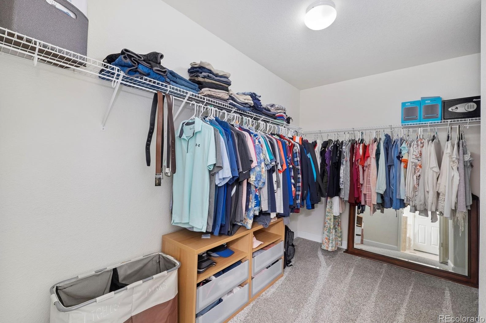 10557 Jaguar Dr, Littleton CO  80124-5200 exterior