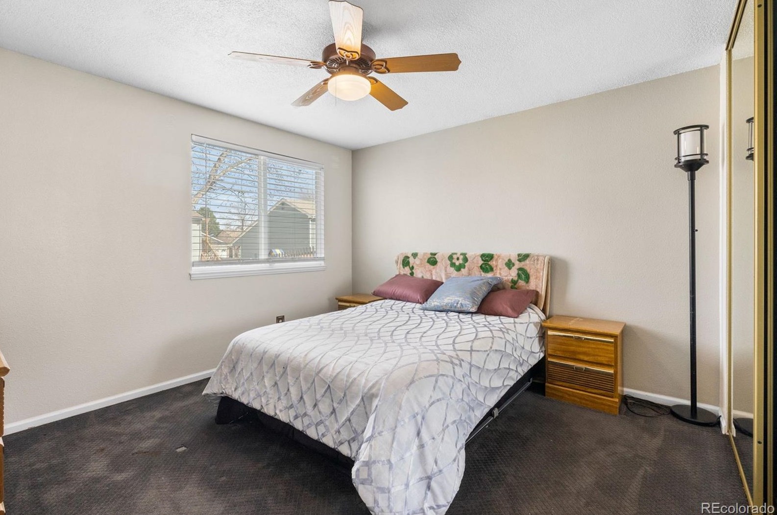 5636 Zinnia St, Littleton CO  80127-2121 exterior