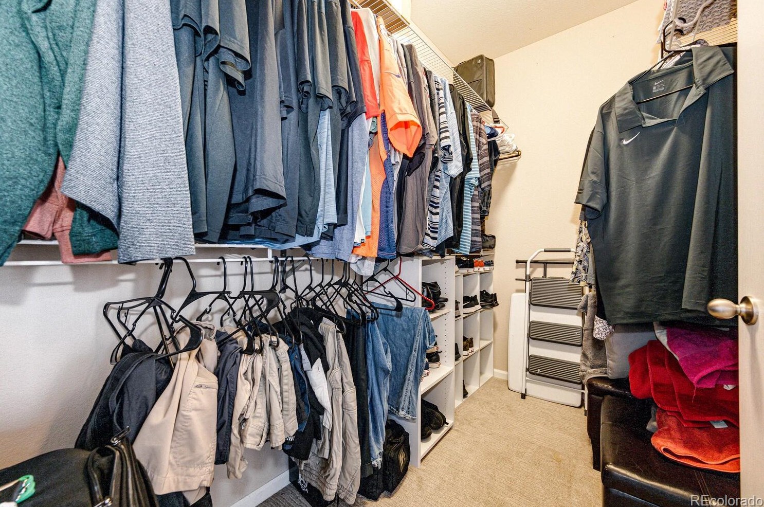 3974 Starry Night Loop, Castle Rock CO  80109-3734 exterior