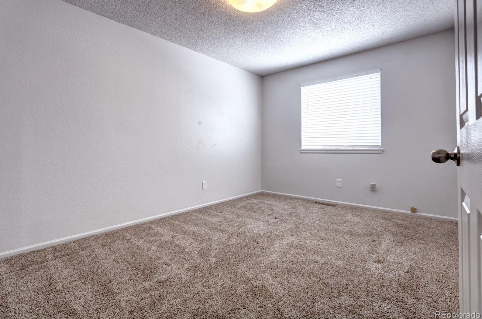 711 White Cloud Dr, Littleton CO 80126-2407 exterior