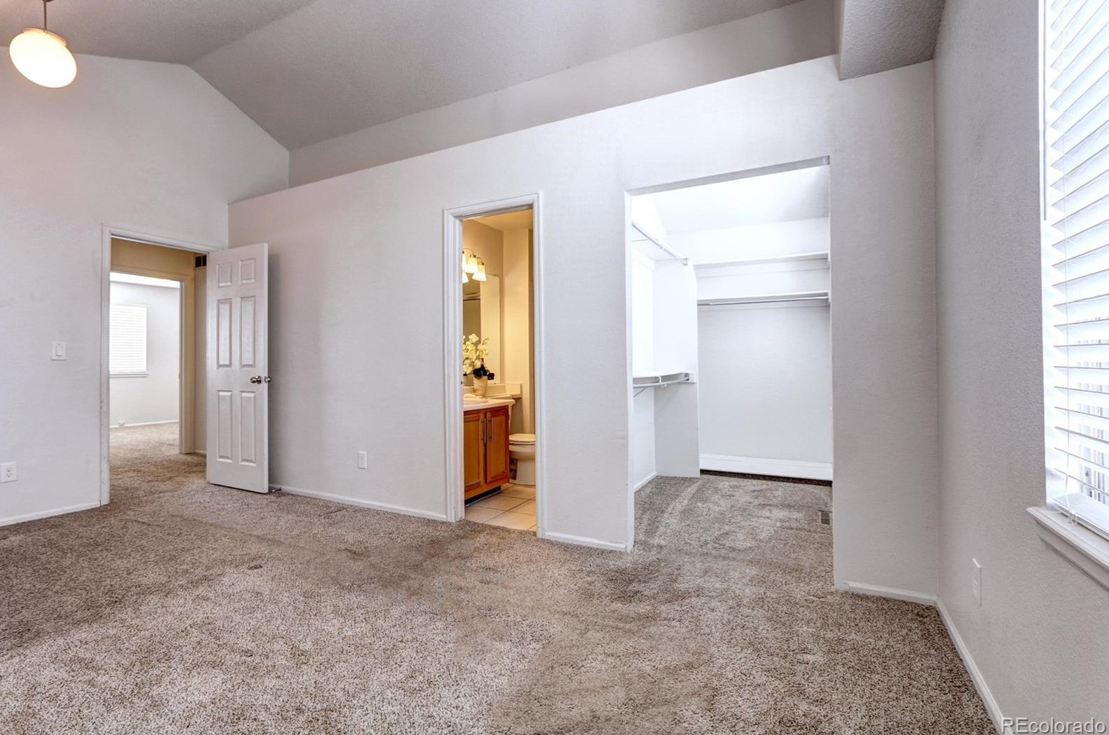 711 White Cloud Dr, Littleton CO 80126-2407 exterior