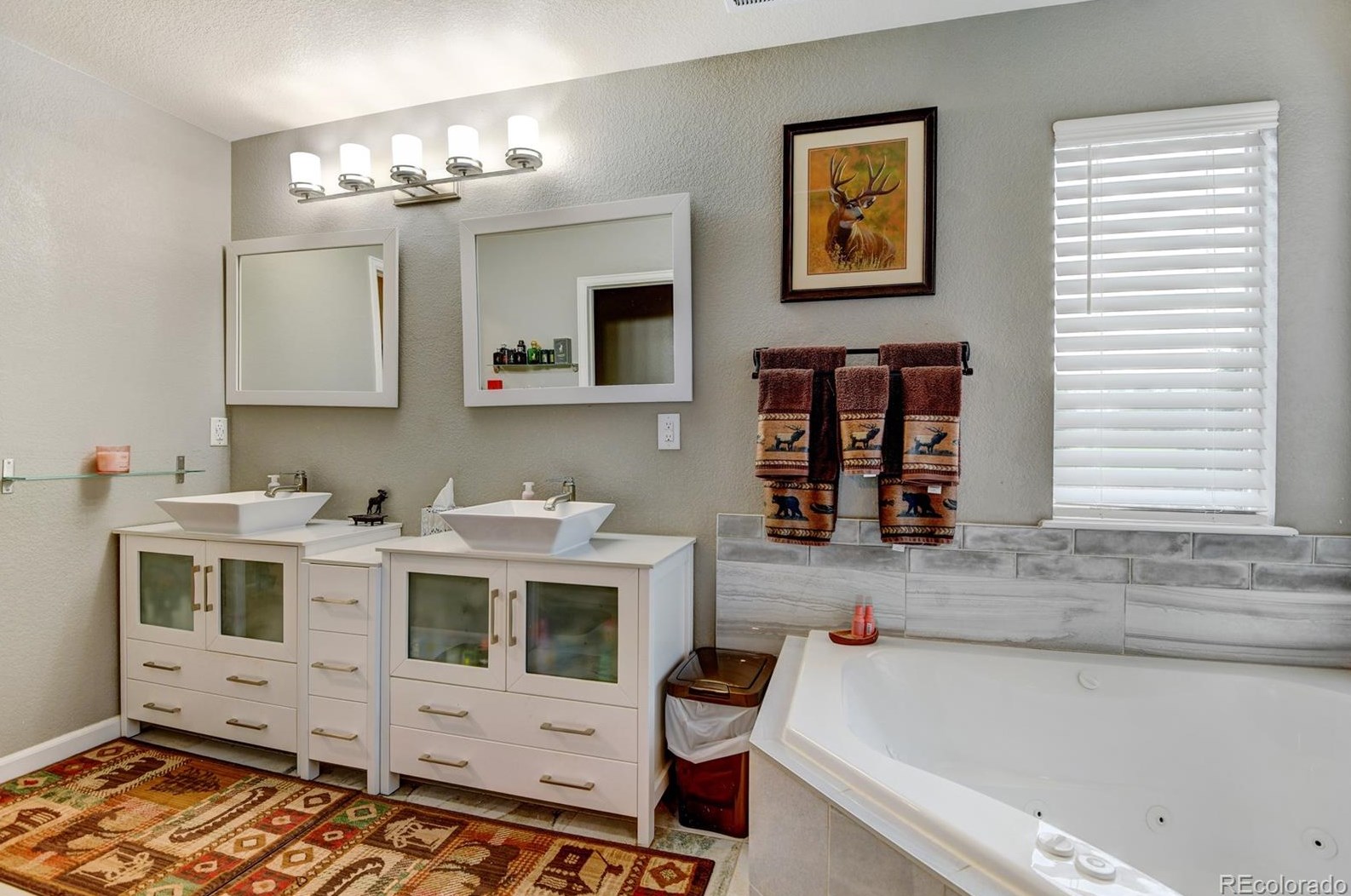 870 Halfmoon Dr, Castle Rock CO  80104-9612 exterior