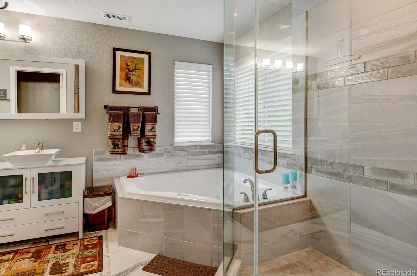 870 Halfmoon Dr, Castle Rock CO  80104-9612 exterior