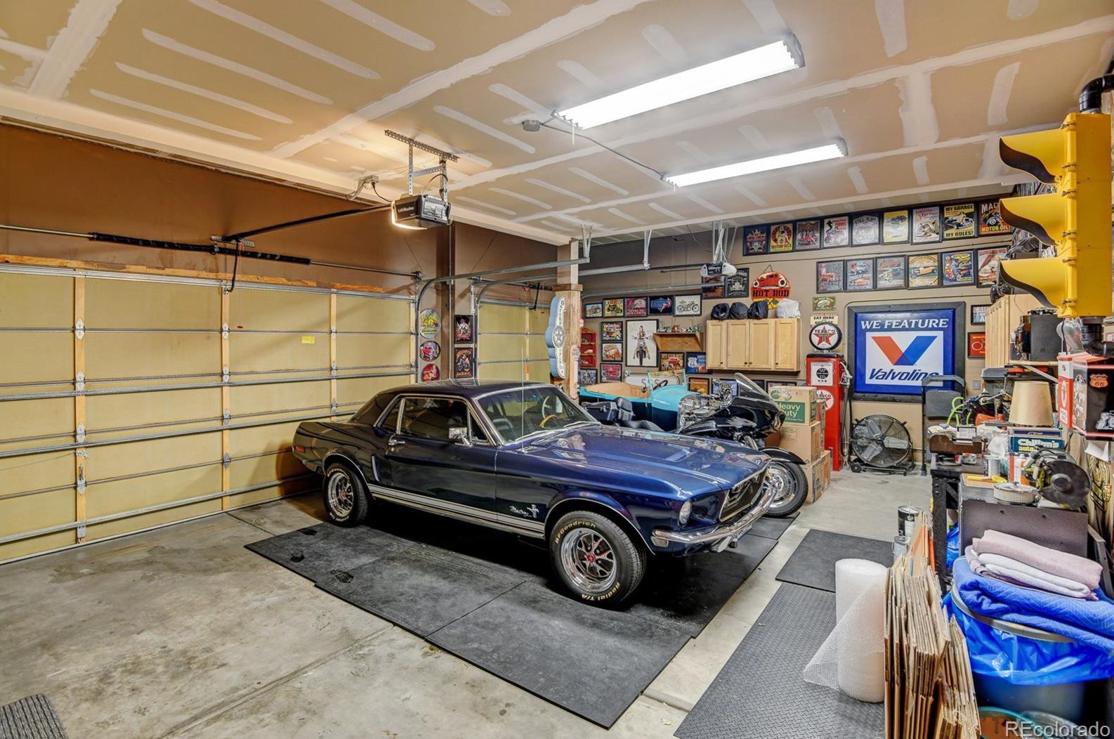 870 Halfmoon Dr, Castle Rock CO  80104-9612 exterior