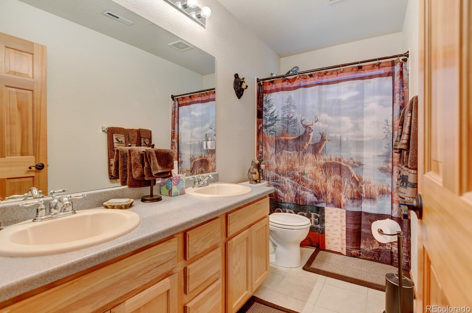 870 Halfmoon Dr, Castle Rock CO  80104-9612 exterior