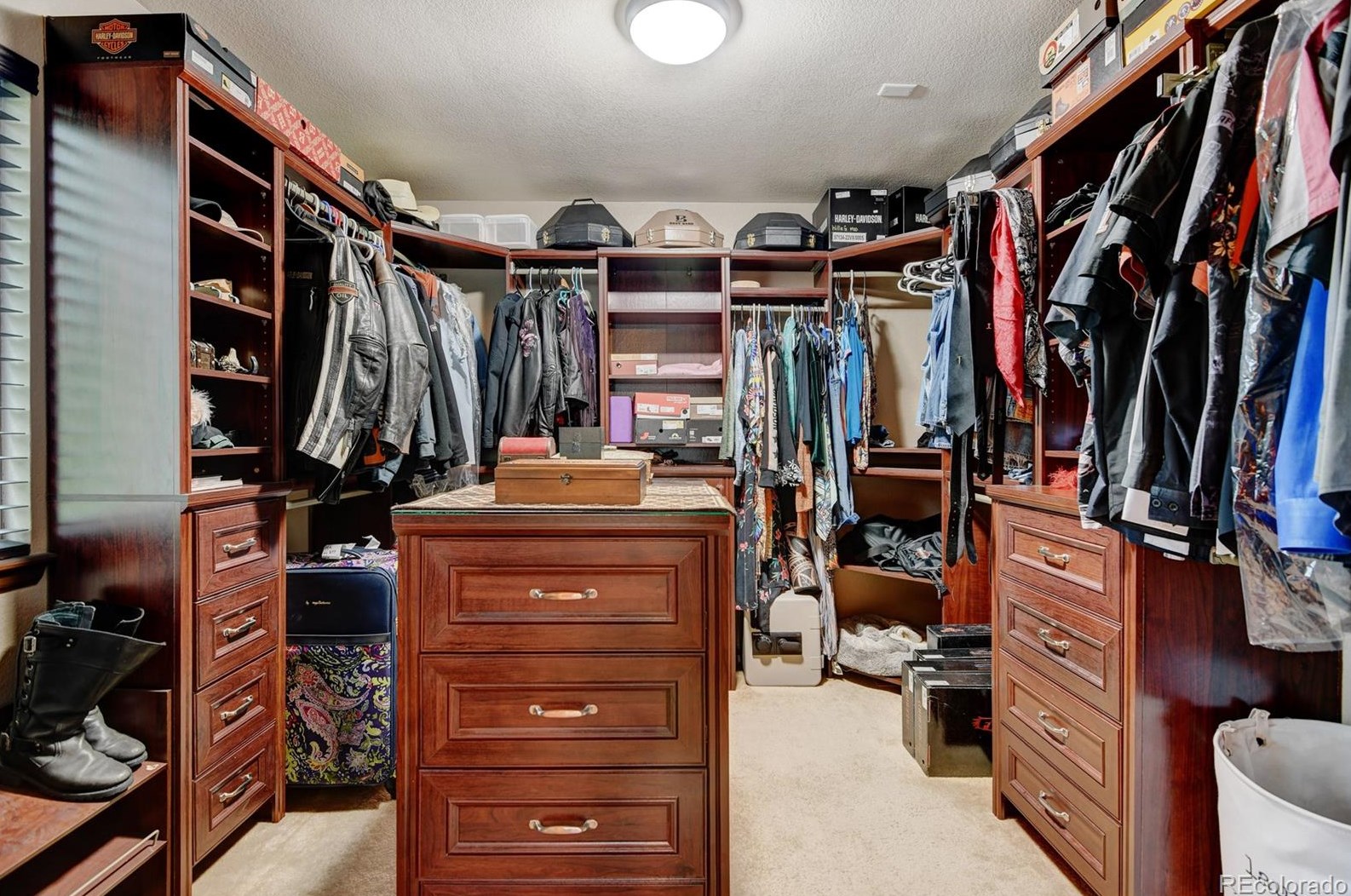 870 Halfmoon Dr, Castle Rock CO  80104-9612 exterior