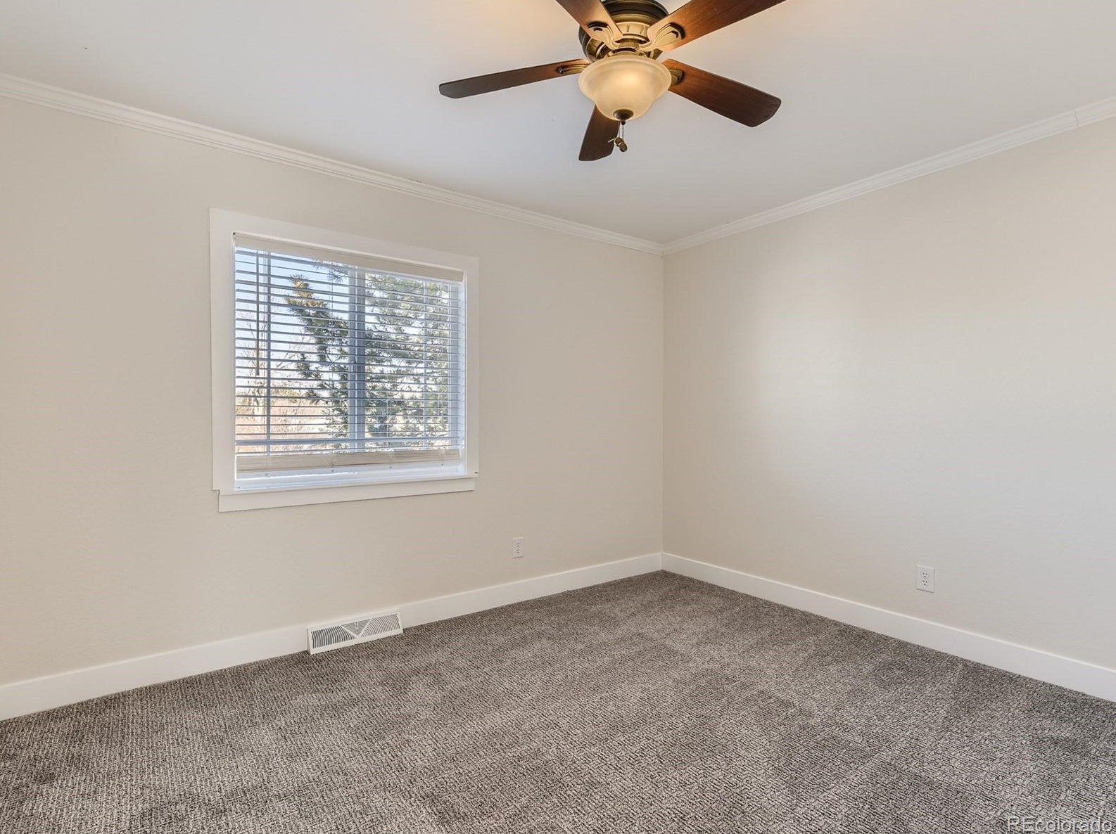 6317 Fairfax Way, Littleton CO  80121-3868 exterior