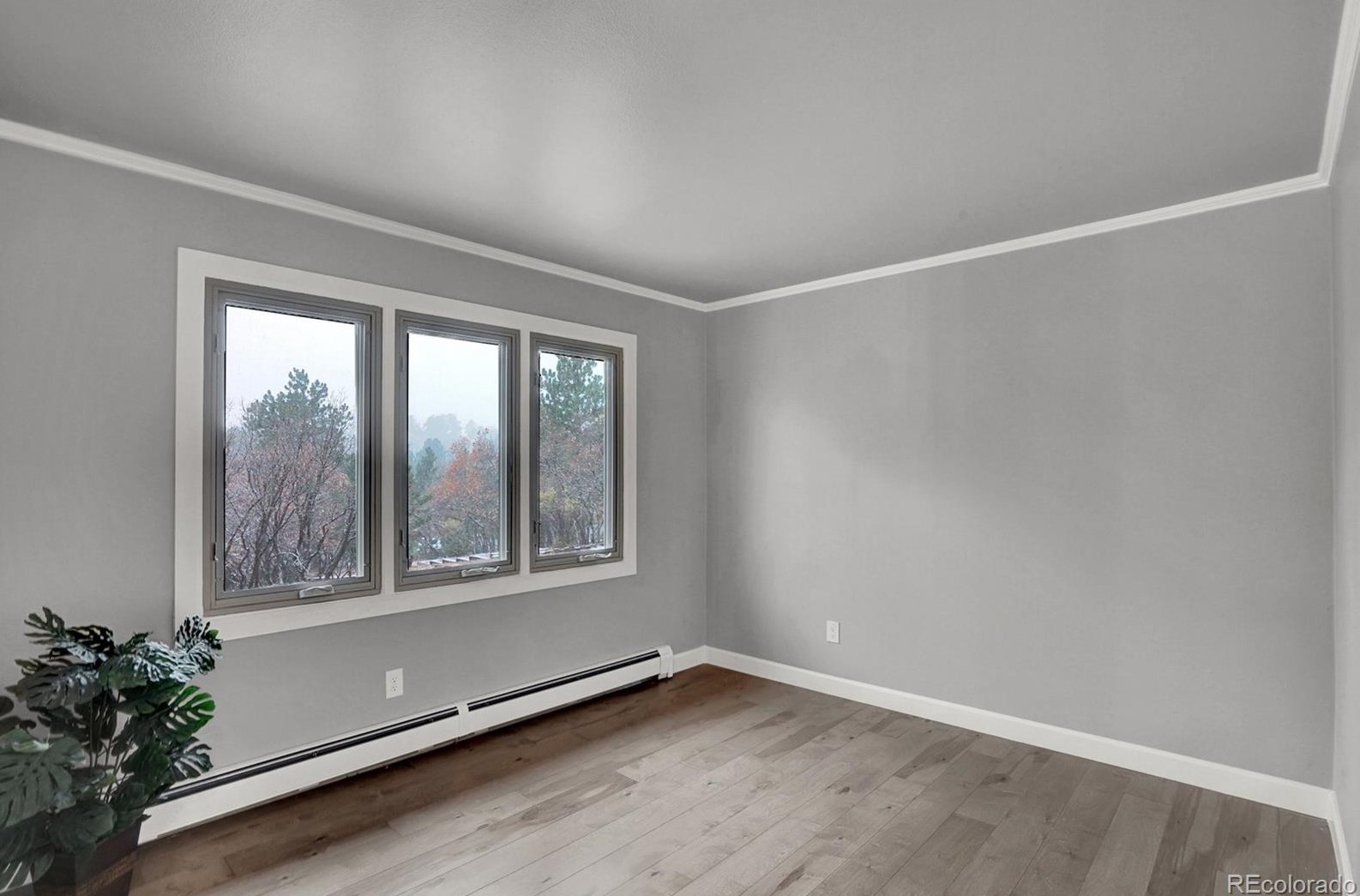 1120 Allegheny Dr, Colorado Springs CO  80919-1506 exterior