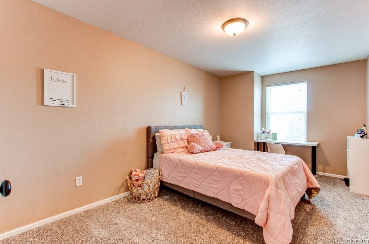 2135 Candleglow St, Castle Rock CO  80109-3563 exterior