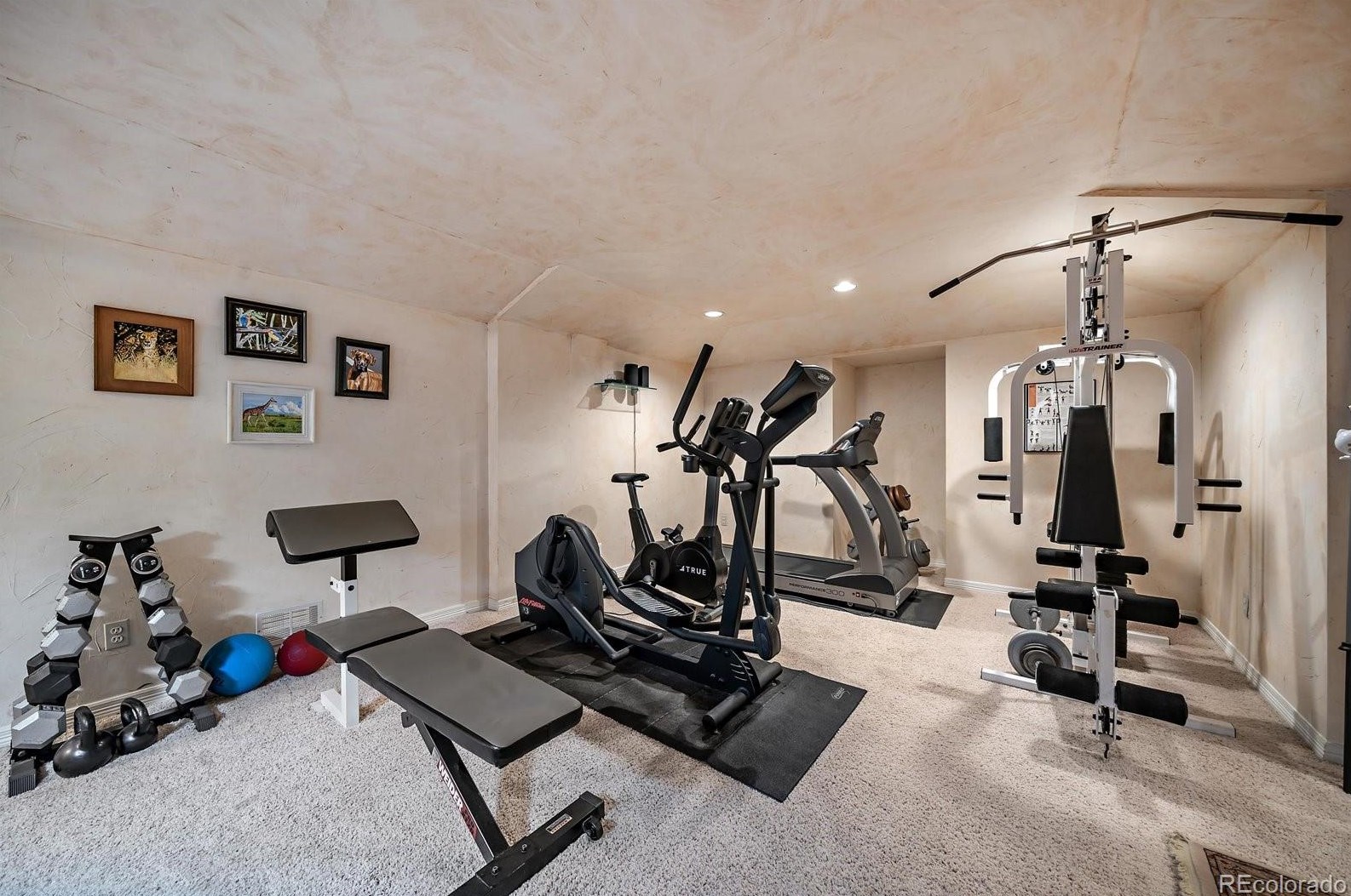 5855 Forest St, Littleton CO 80121-2142 exterior