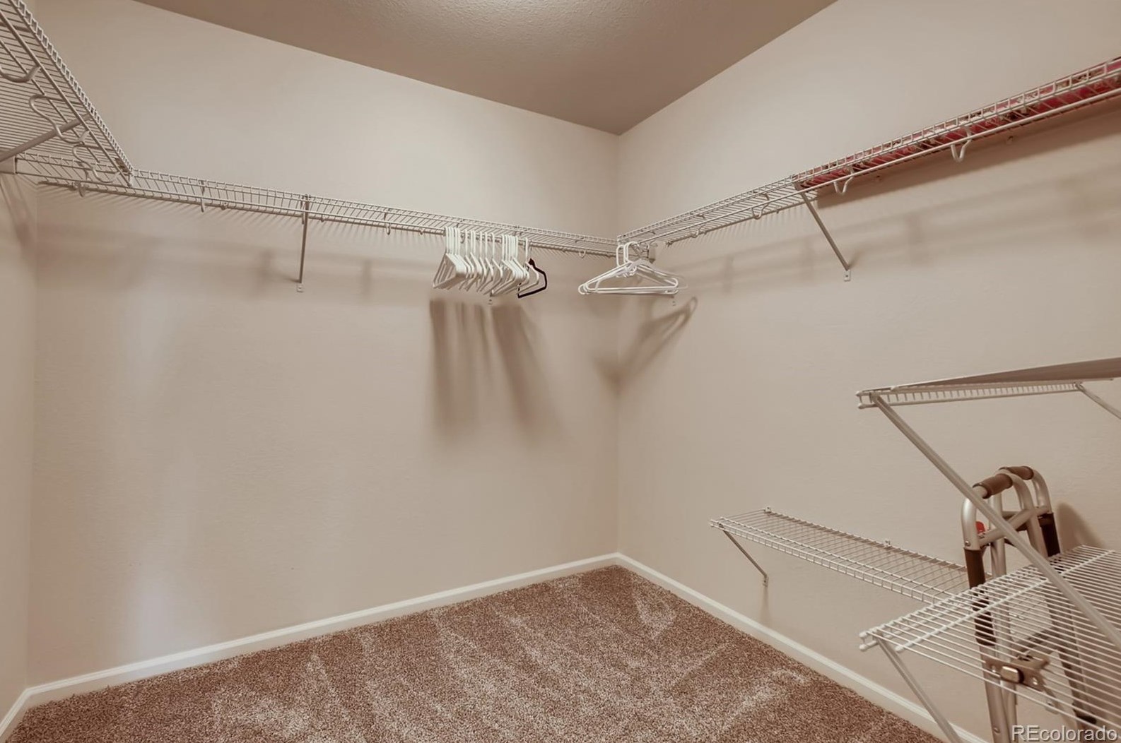 2521 Hillcroft Ln, Castle Rock CO  80104 exterior