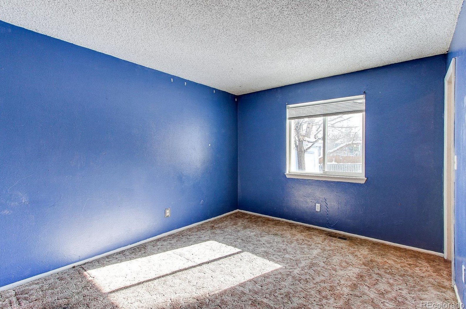 8696 86 Cir, Arvada CO  80005-5859 exterior