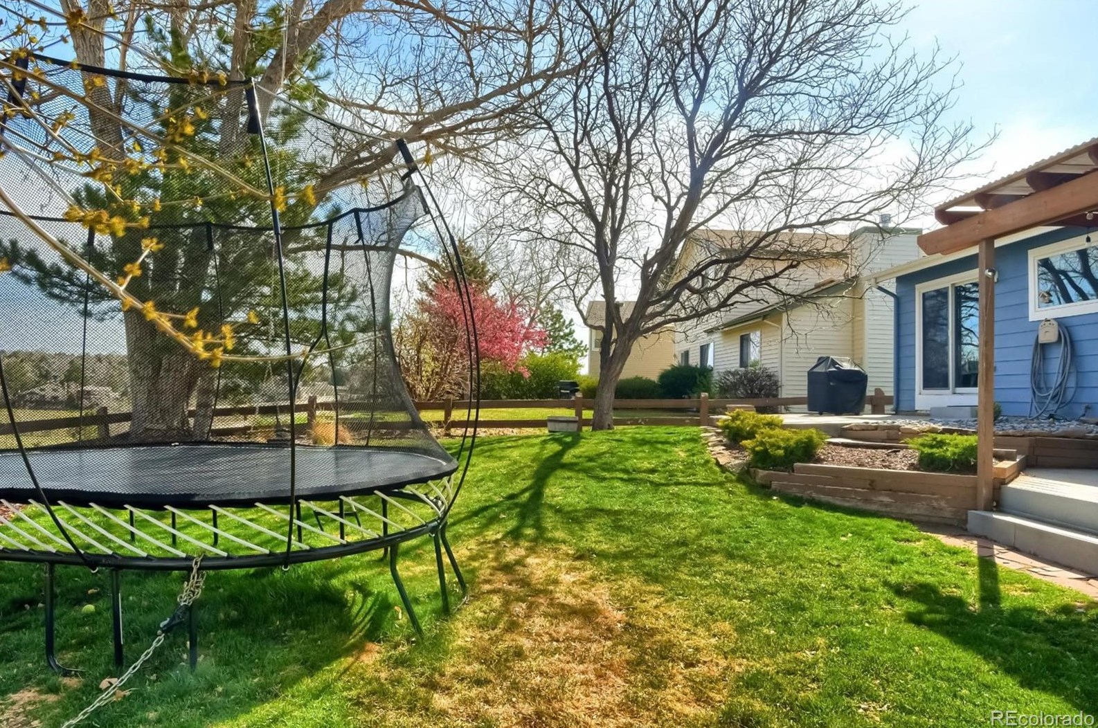 501 Snowy Owl Pl, Littleton CO 80126-2226 exterior