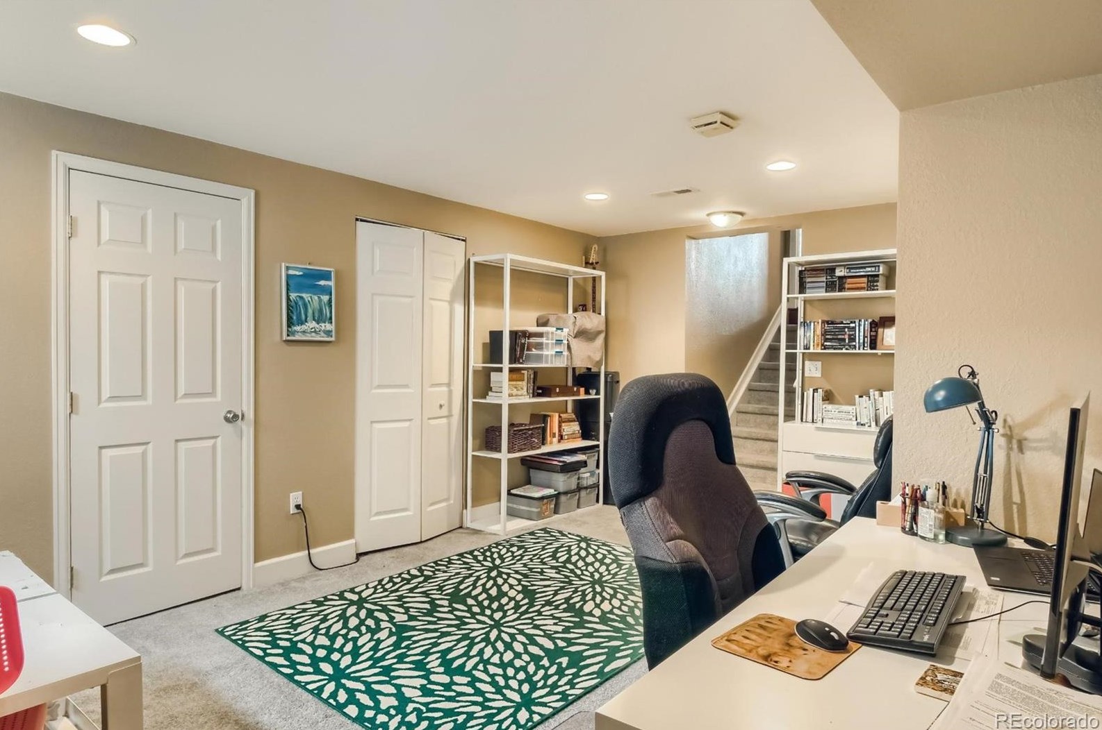 501 Snowy Owl Pl, Littleton CO 80126-2226 exterior