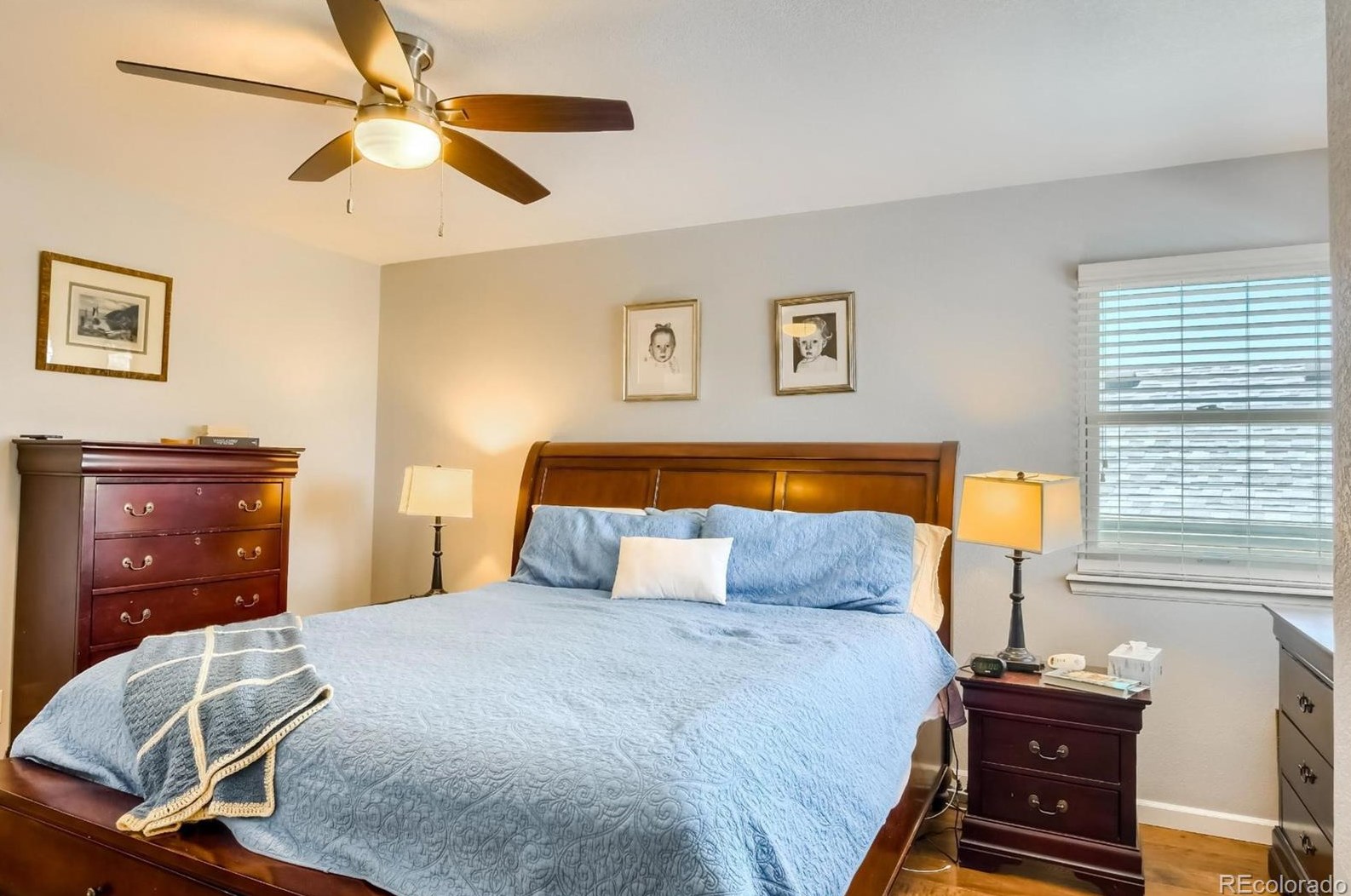 501 Snowy Owl Pl, Littleton CO 80126-2226 exterior