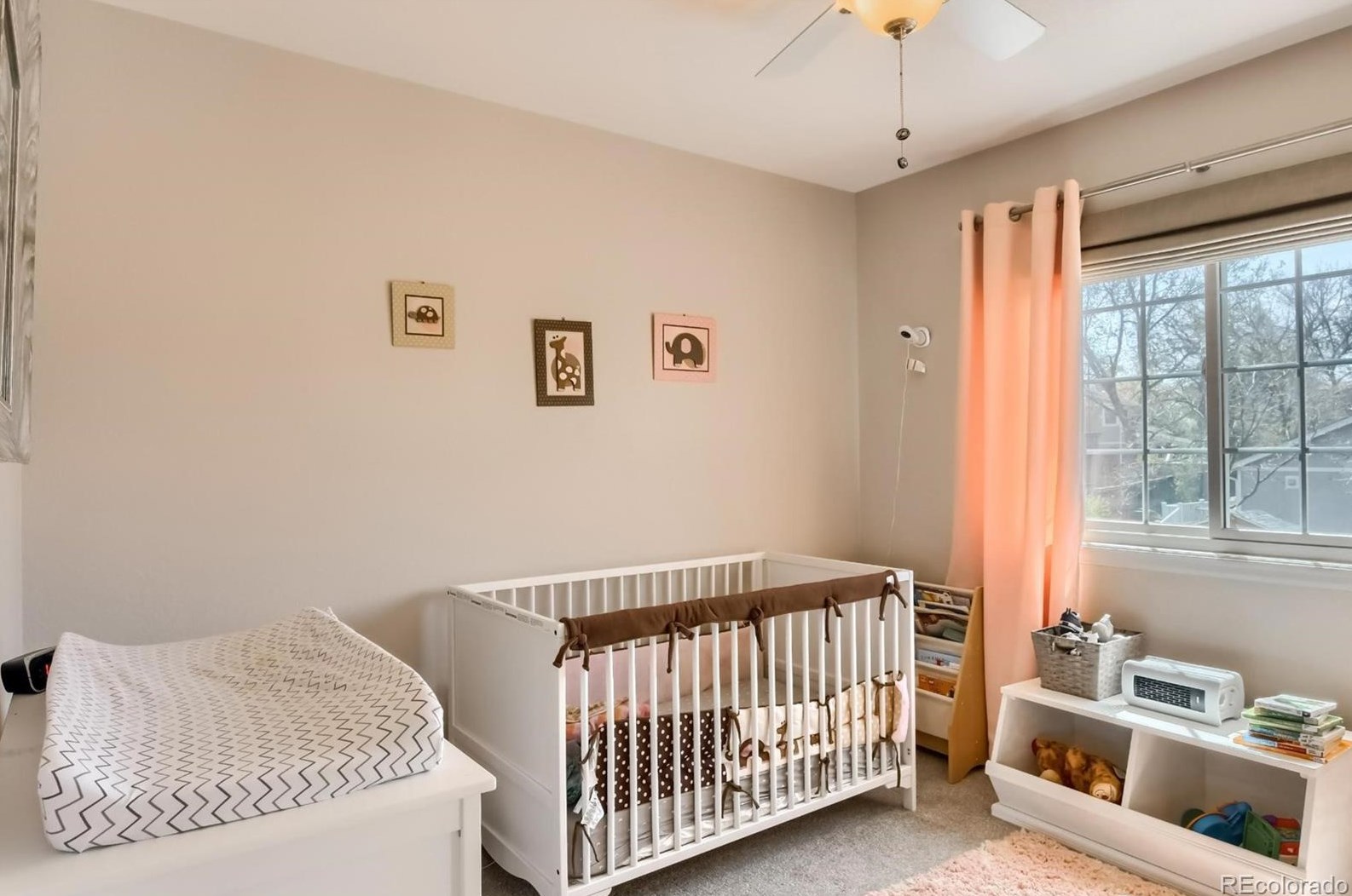 501 Snowy Owl Pl, Littleton CO 80126-2226 exterior