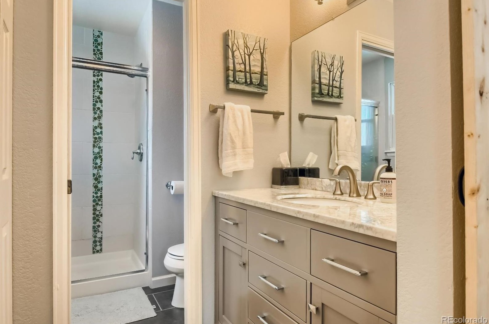 501 Snowy Owl Pl, Littleton CO 80126-2226 exterior