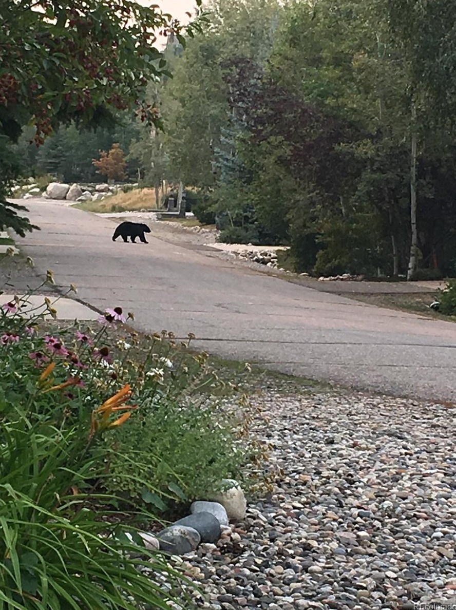 669 Meadowbrook Cir, Steamboat Springs CO  80487-3043 exterior
