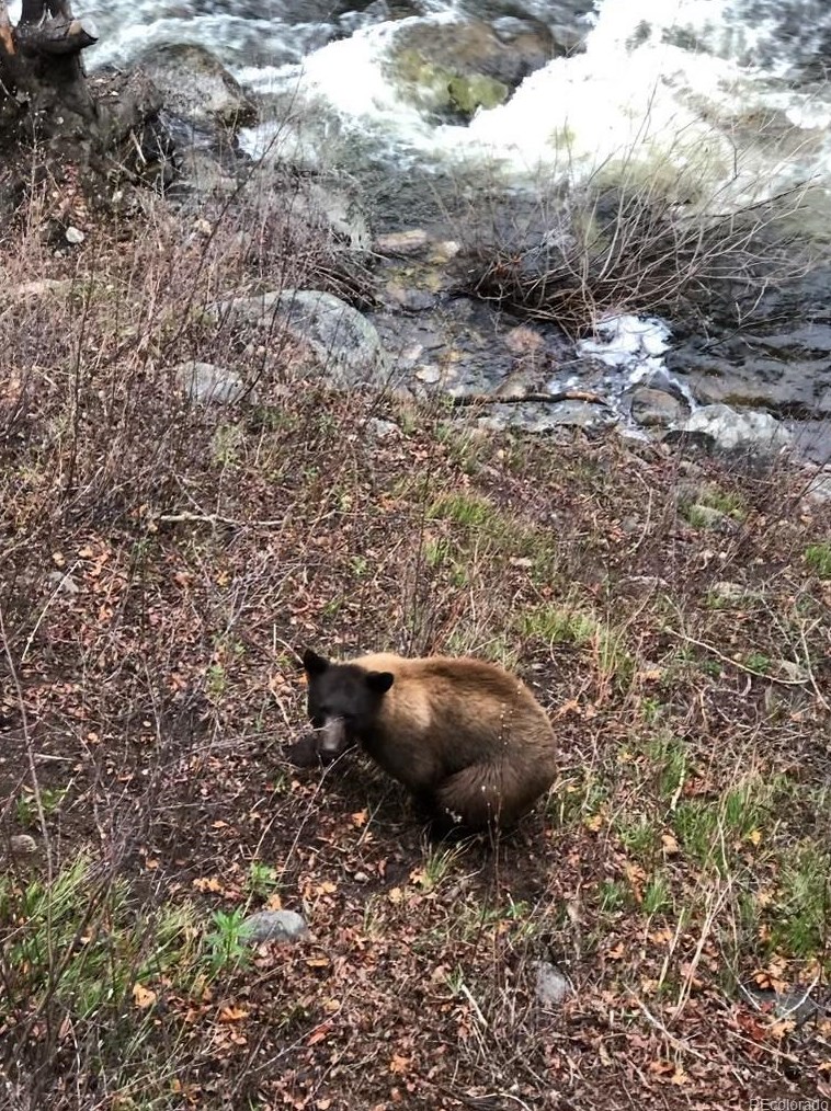 669 Meadowbrook Cir, Steamboat Springs CO  80487-3043 exterior
