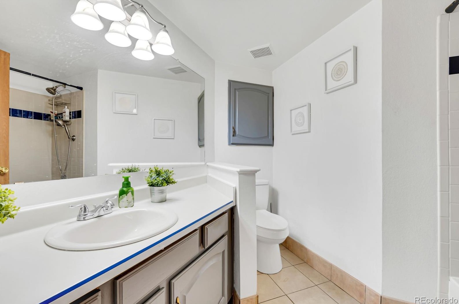 3135 Sugarbowl Ct, Castle Rock CO  80109-2814 exterior