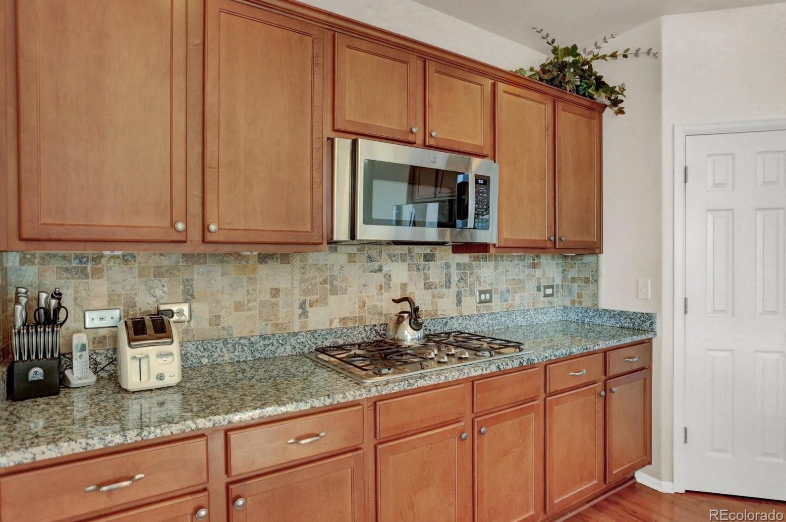 5438 Echo Holw St, Castle Rock CO 80104-3379 exterior