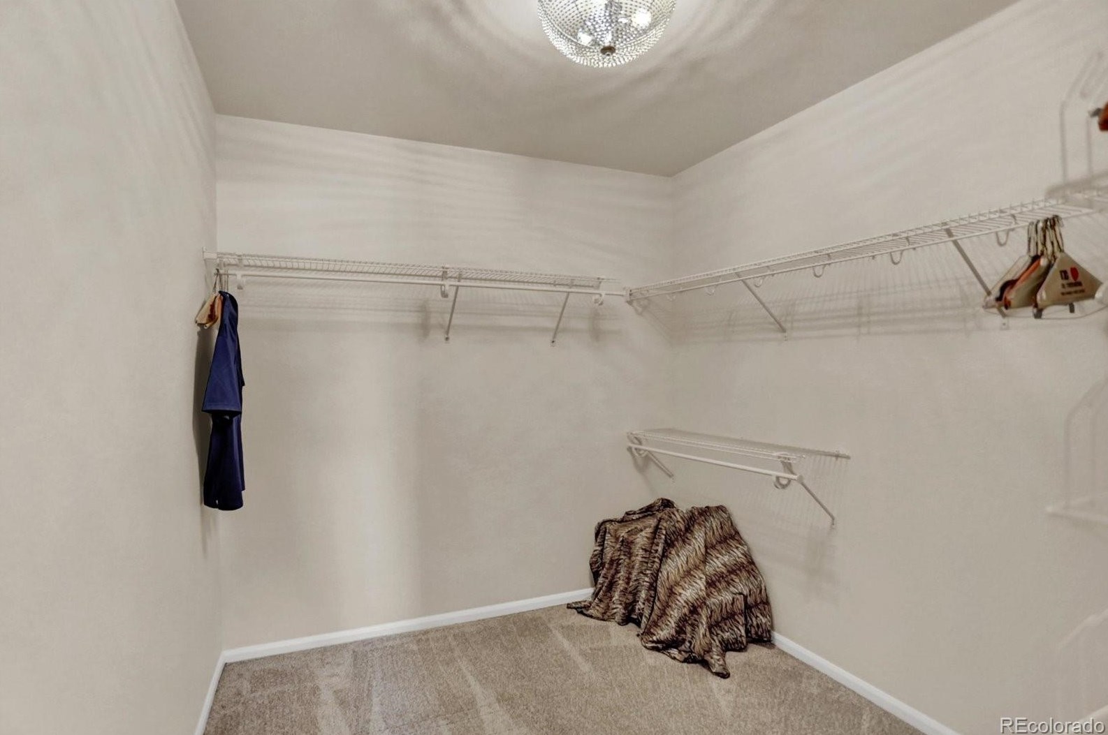 5438 Echo Holw St, Castle Rock CO 80104-3379 exterior