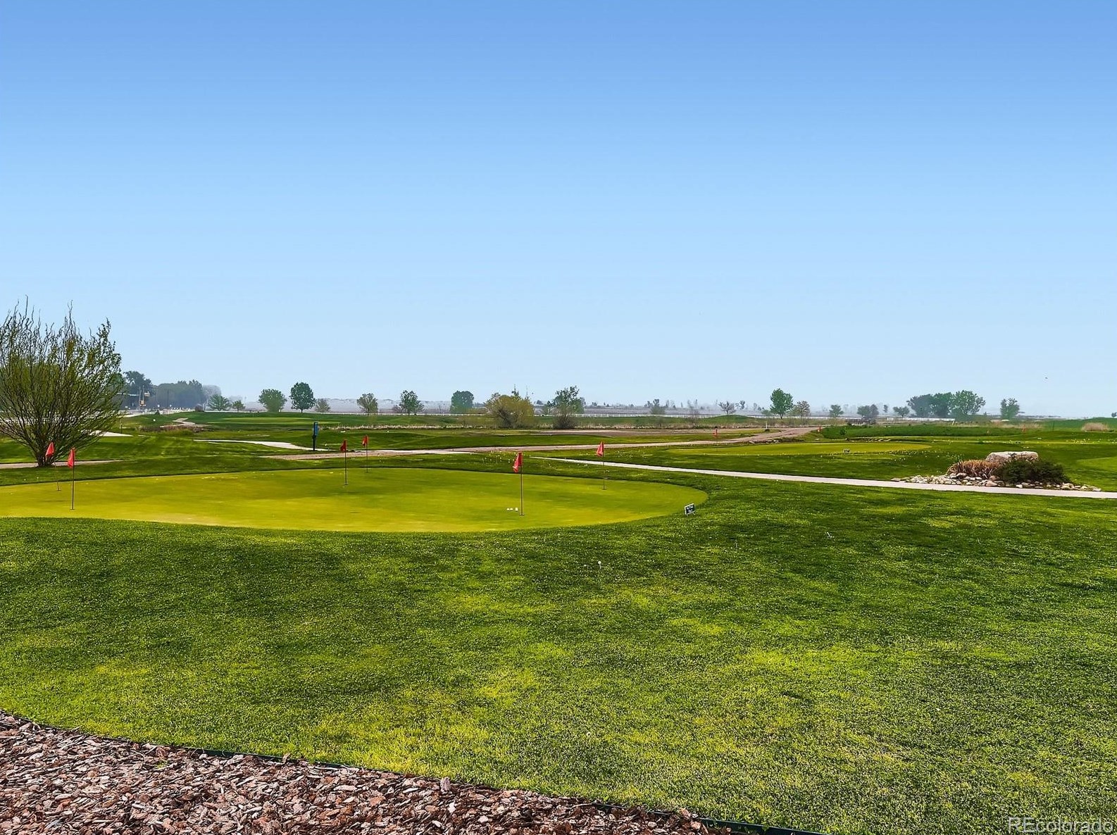 5778 Wetlands Dr, Longmont CO  80504-9690 exterior