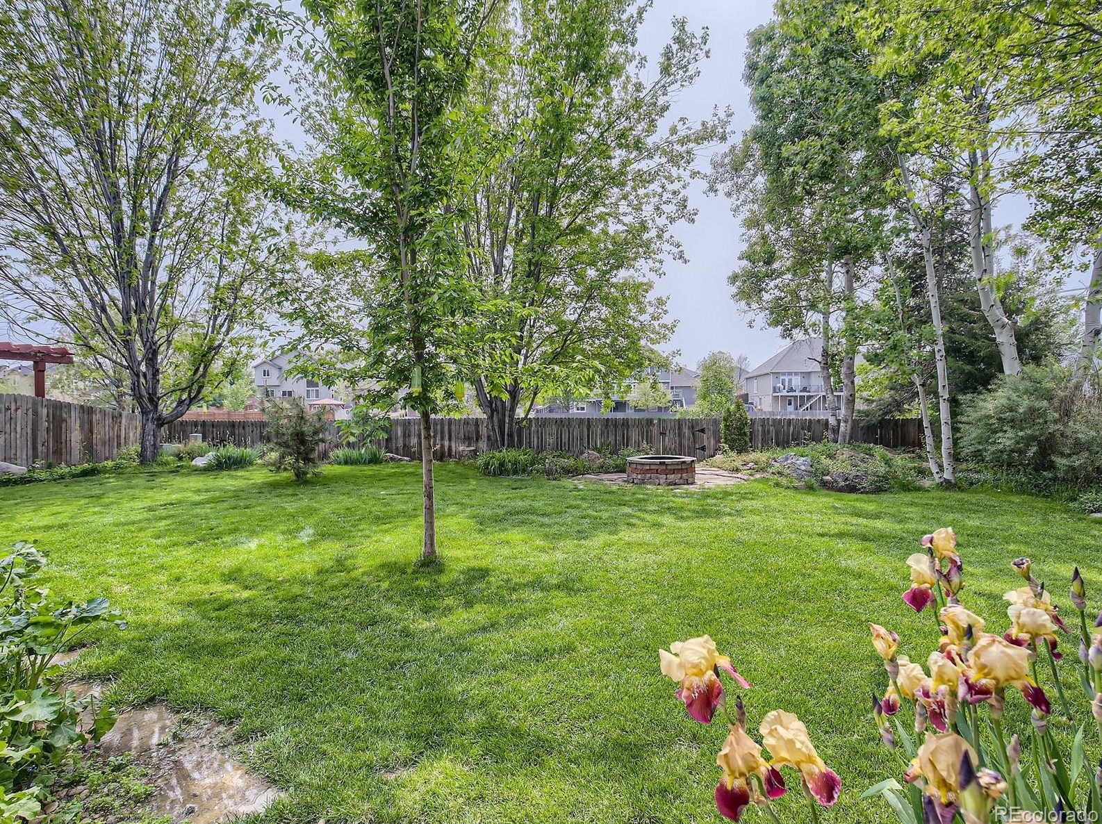 5778 Wetlands Dr, Longmont CO  80504-9690 exterior