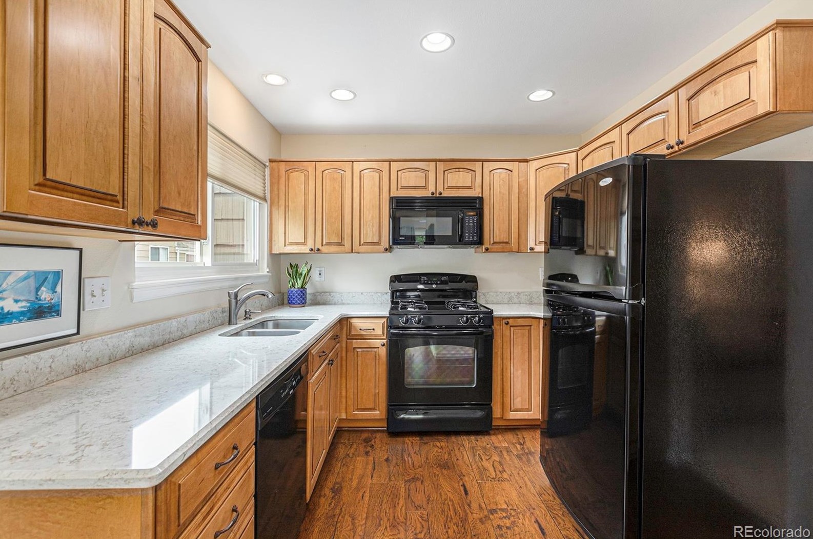 9012 Bear Mtn Dr, Littleton CO 80126-2296 exterior