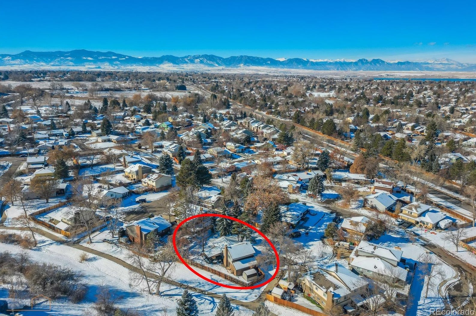 8772 79 Ave, Arvada CO  80003-2364 exterior