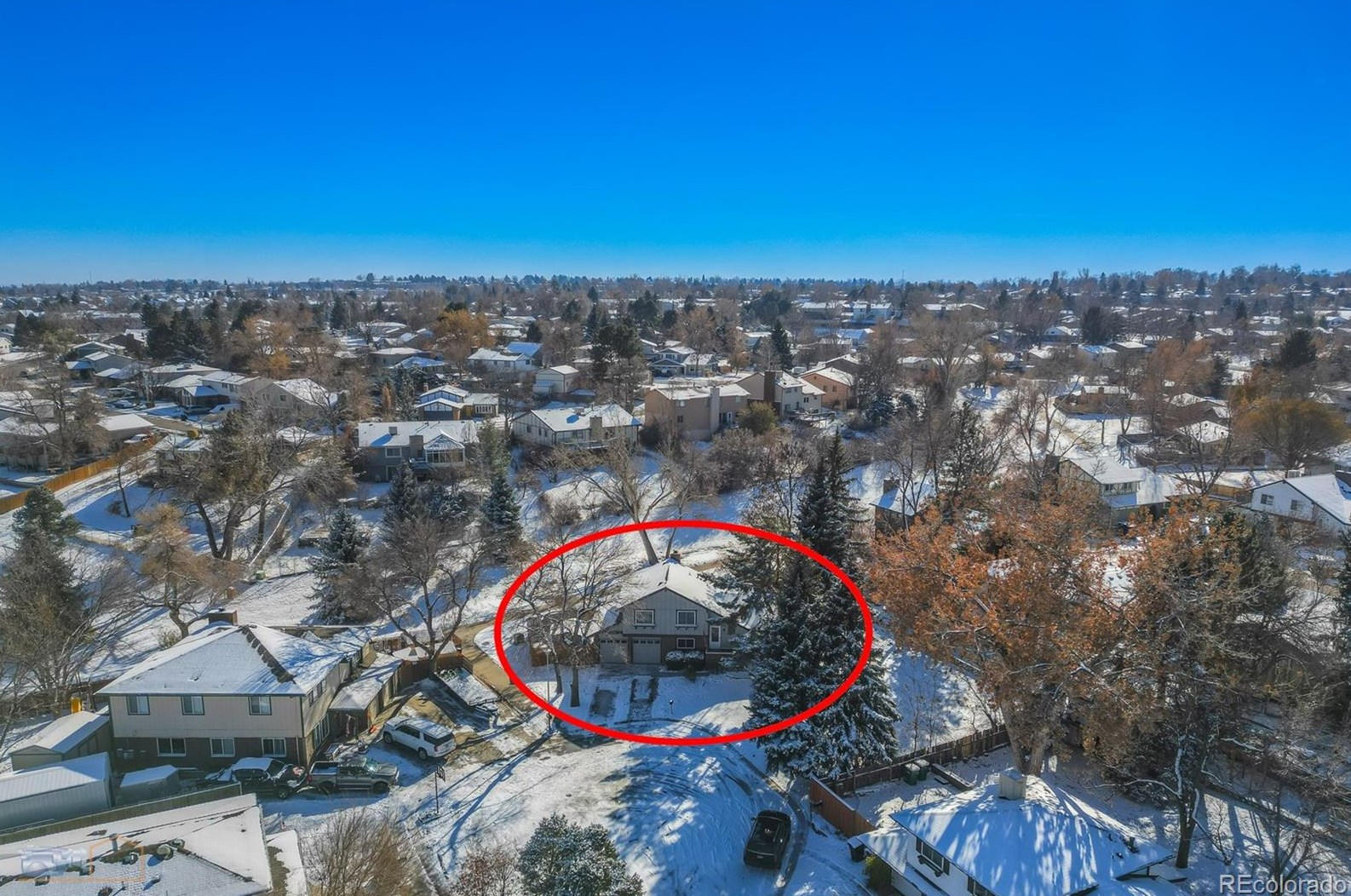 8772 79 Ave, Arvada CO  80003-2364 exterior