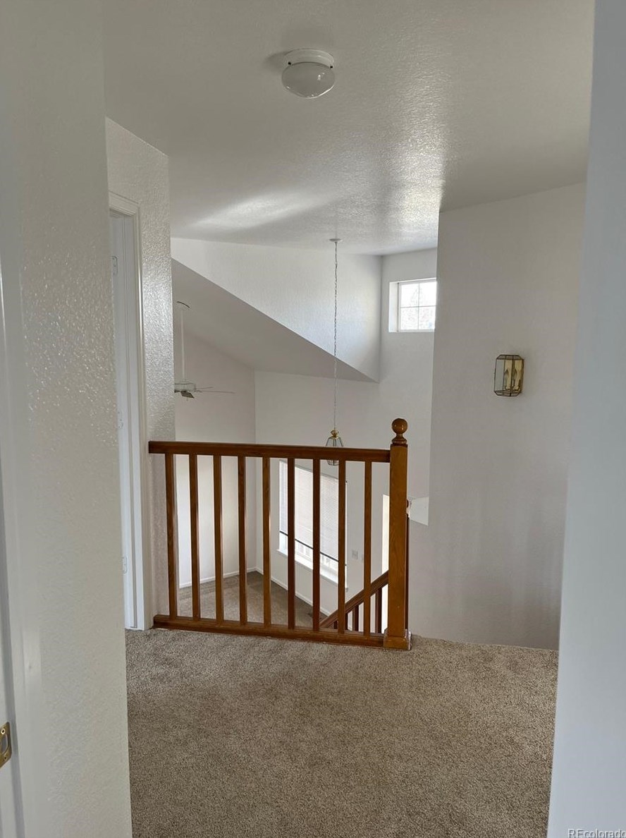 217 Cherry St, Castle Rock CO  80104-3206 exterior