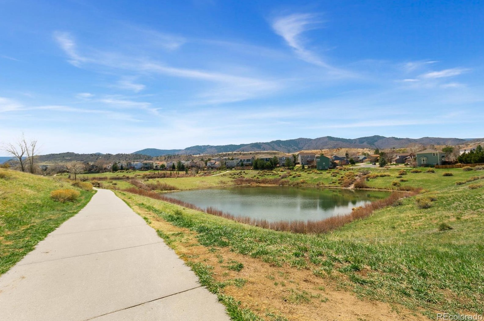 7541 Dawn Dr, Littleton CO  80125-8954 exterior