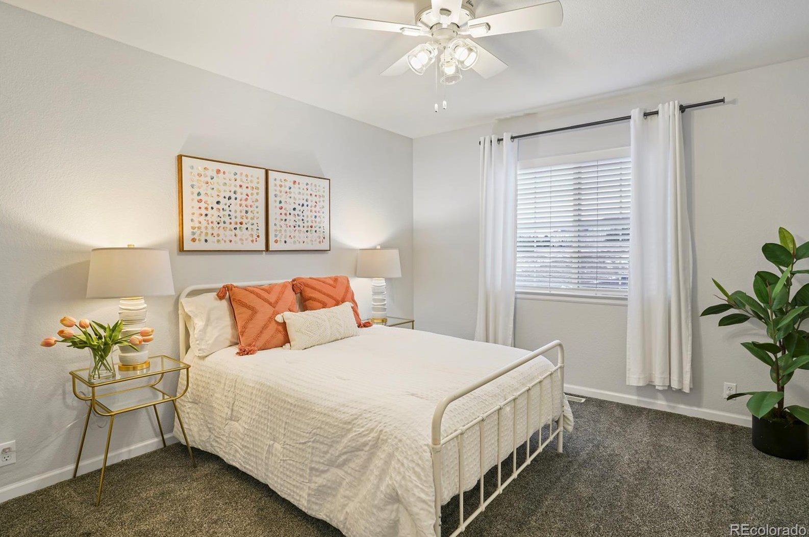 6075 Blue Terrace Pl, Castle Rock CO  80108-8152 exterior