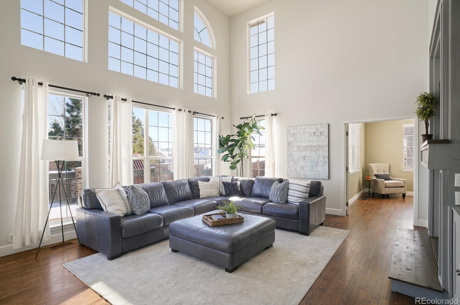 6075 Blue Terrace Pl, Castle Rock CO  80108-8152 exterior