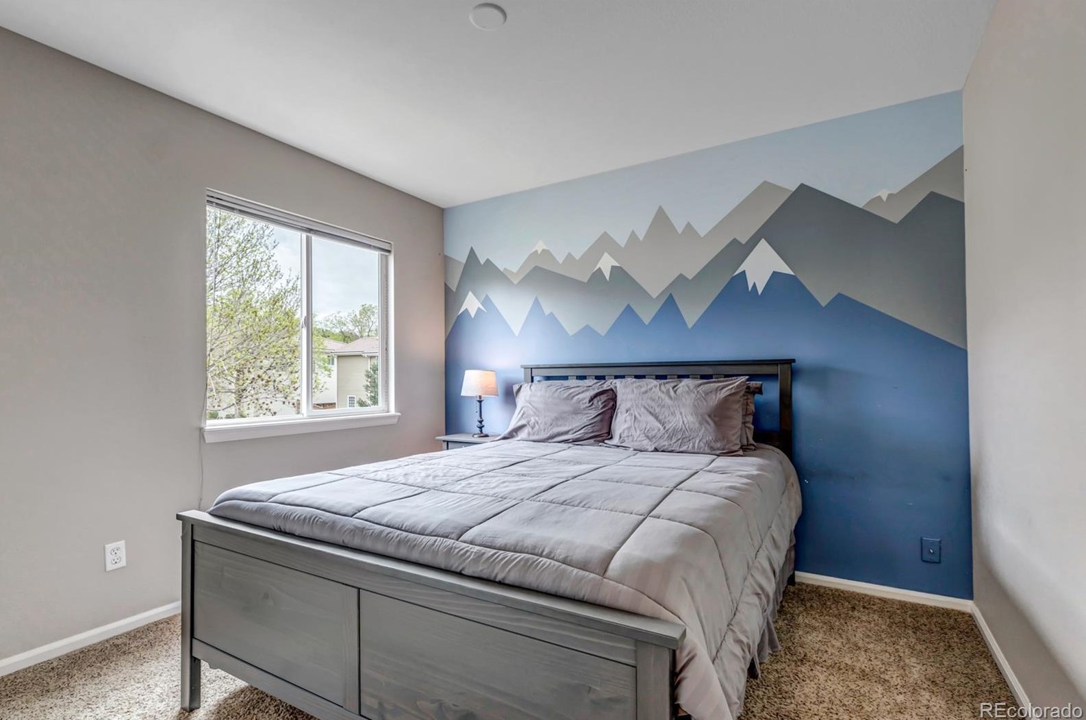 1271 Braewood Ave, Littleton CO  80129-5673 exterior