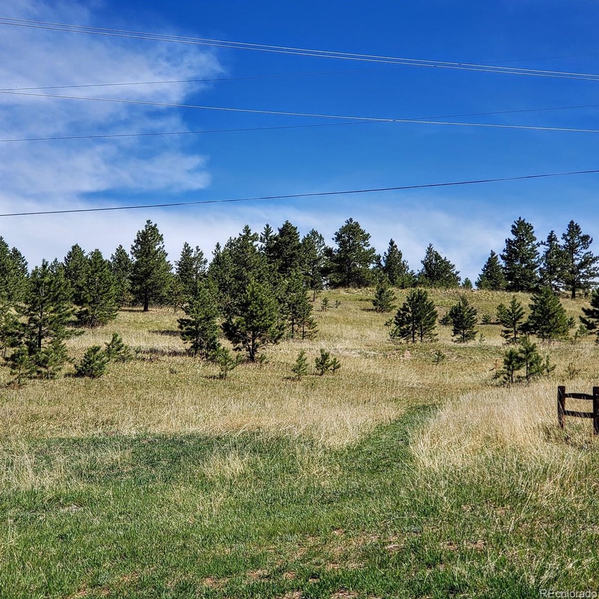 2866 Sunnywood Ave, Woodland Park CO 80863-9498 exterior